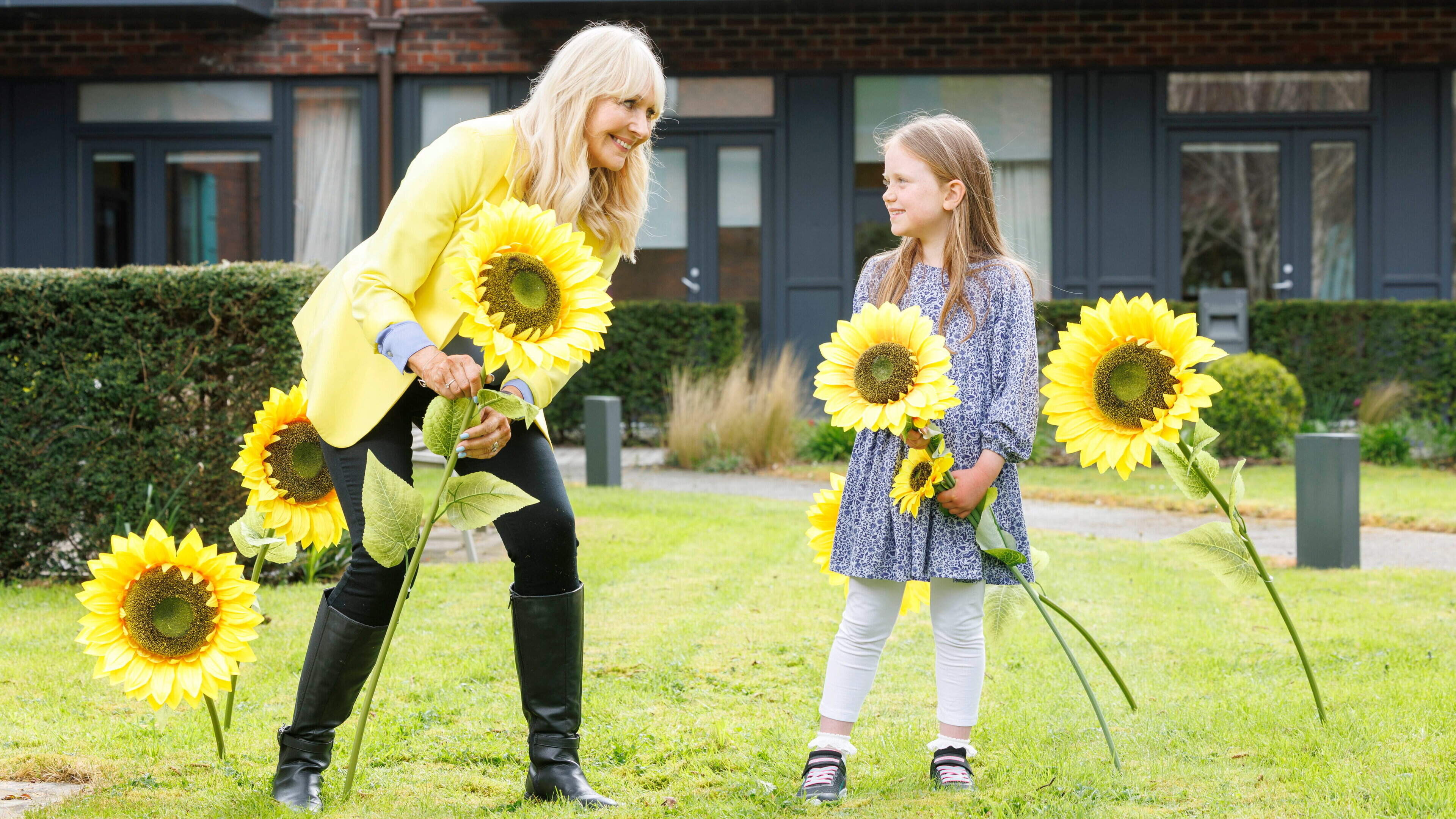 Countdown is now underway for this year’s Hospice Sunflower Days campaign to help raise funds for the North West Hospice